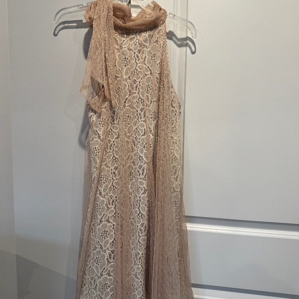 Elegant tan and cream lace dress with chiffon overlay and bow neckline.